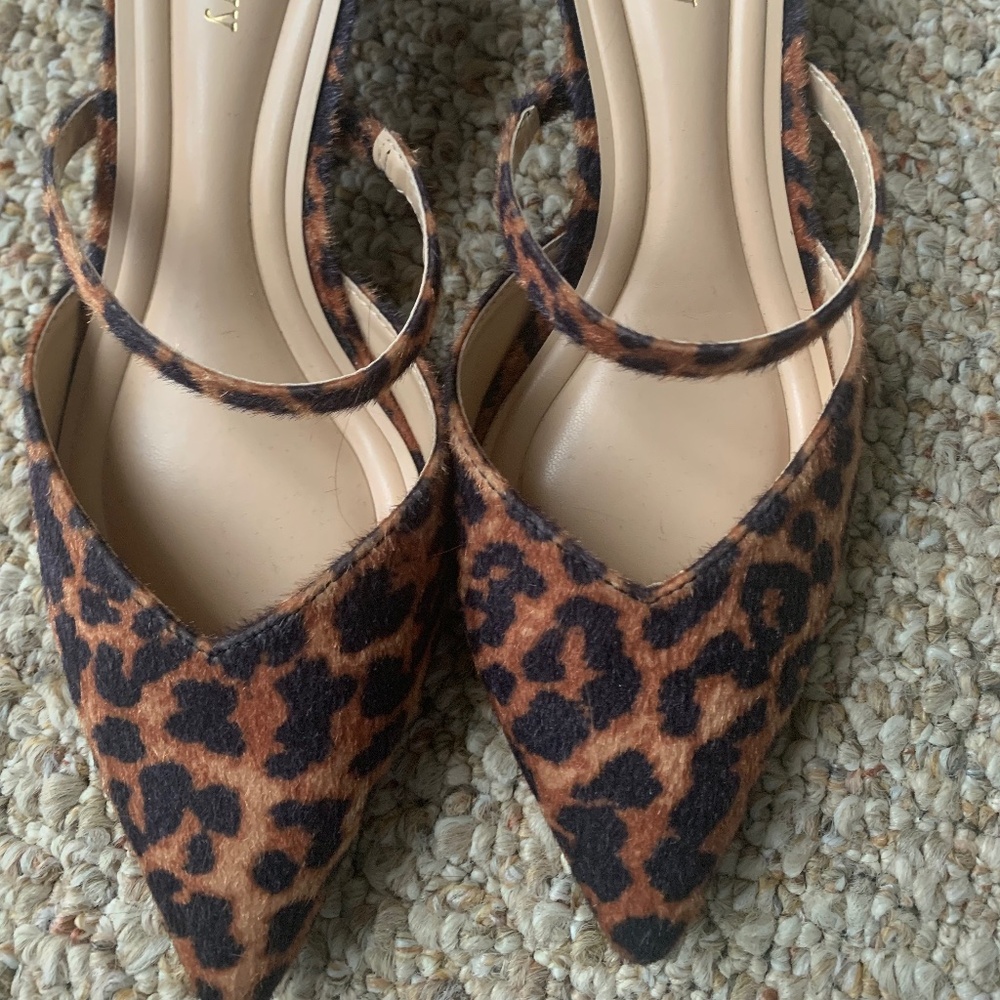 Gorgeous Leopard Mules pointed comfy upper and pl… - image 1